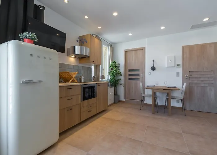 Palais Saint Pierre Cagnes-sur-Mer