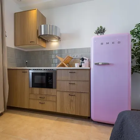 Apartment Palais Saint Pierre *